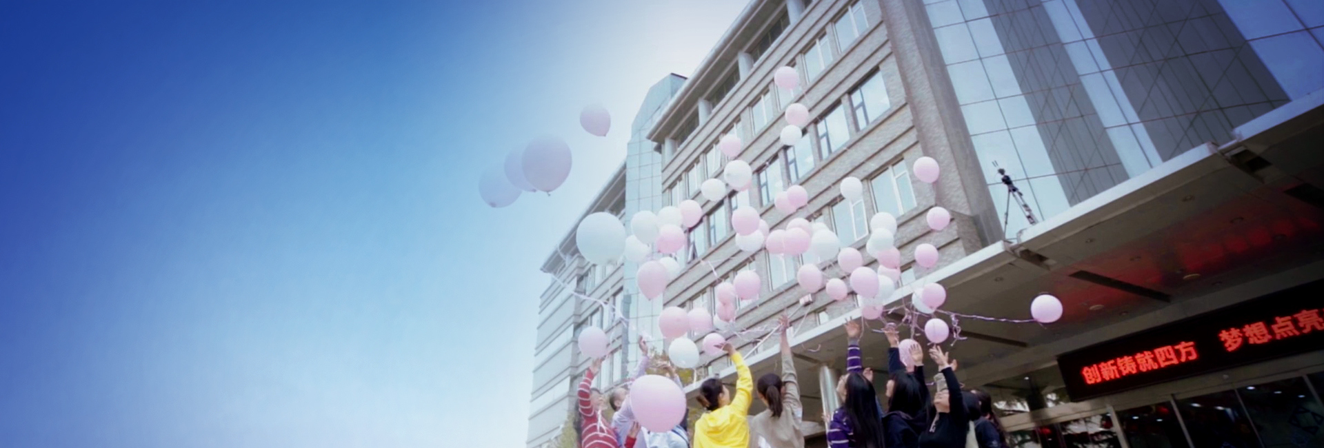 VSport - ʤ������������