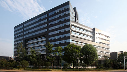 VSport - ʤ������������