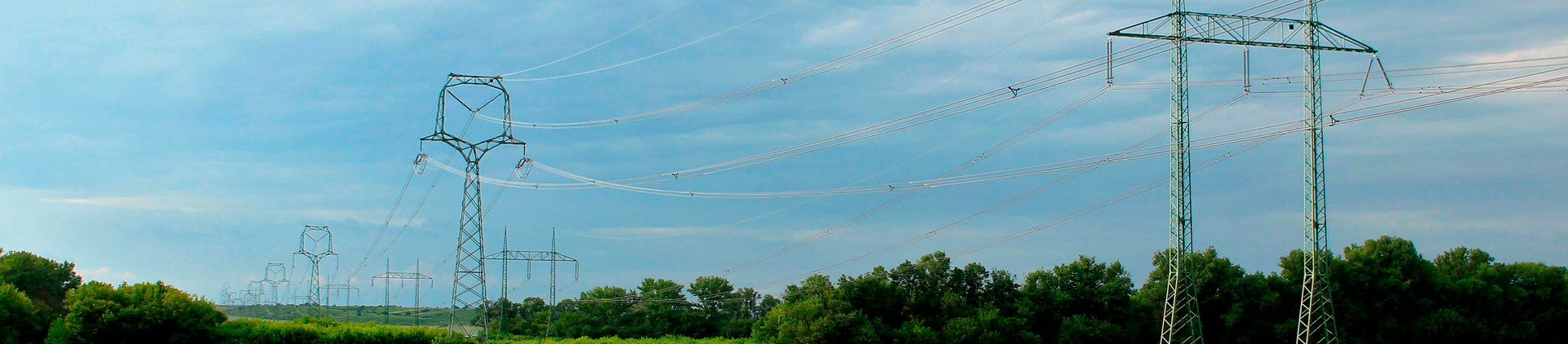 VSport - ʤ������������